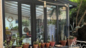 A sunlit patio with a cushioned seating area, a row of potted cacti, and a view of a restaurant through large windows.