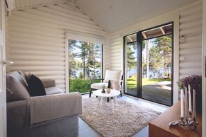 TV connectée, cheminée, chaîne hi-fi
