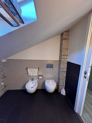 Hair dryer, bidet, towels, soap