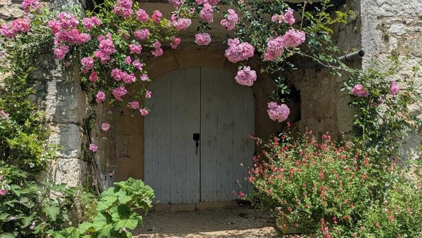 Unclassified image, 1 of 33, button - Domaine de l'Ameillée, authentic Quercy in the heart of Périgord Blanc (Puy-l'Évêque)