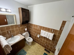 Hair dryer, towels, soap, toilet paper