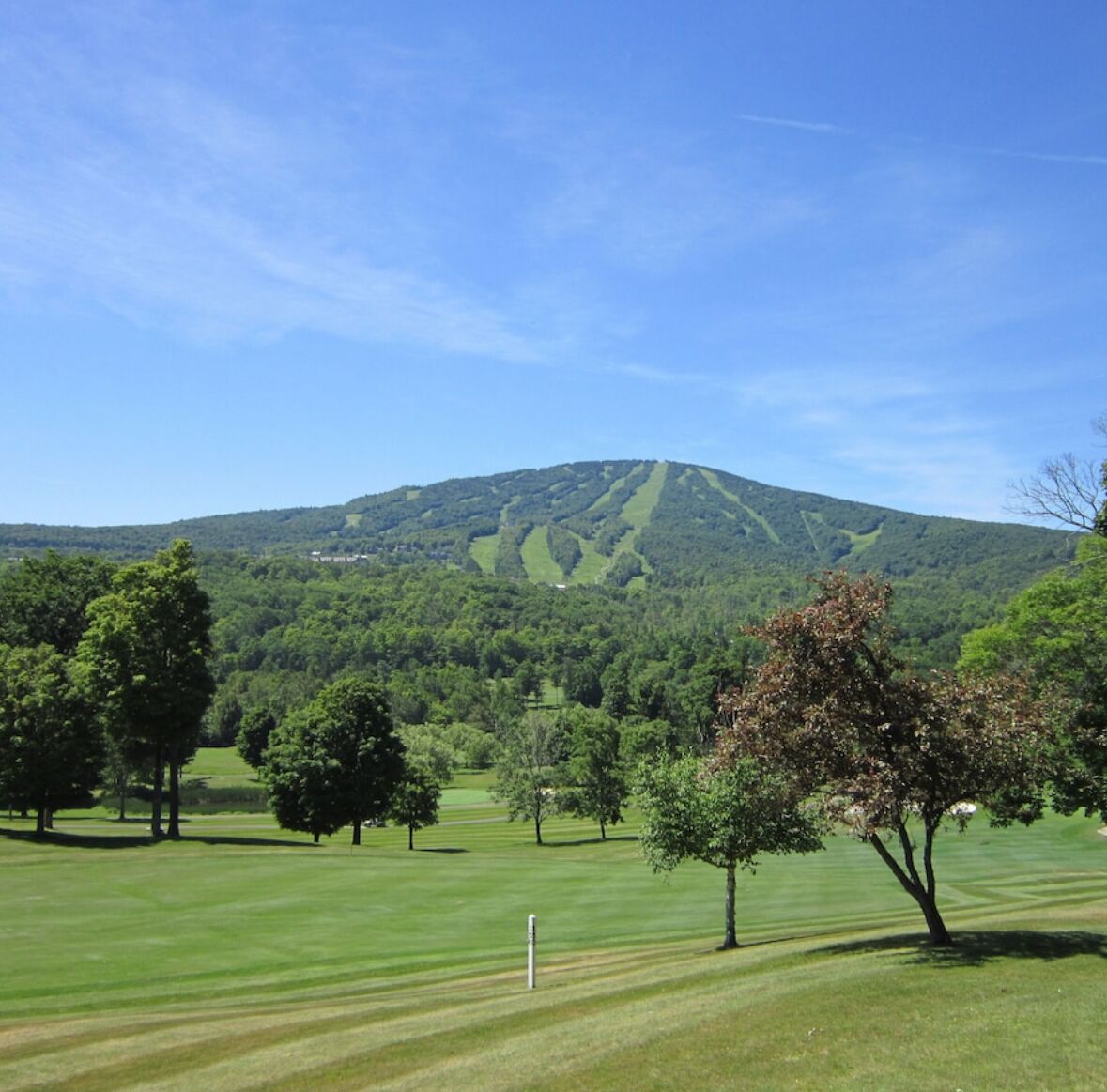 A golf course with a mountain in the background.