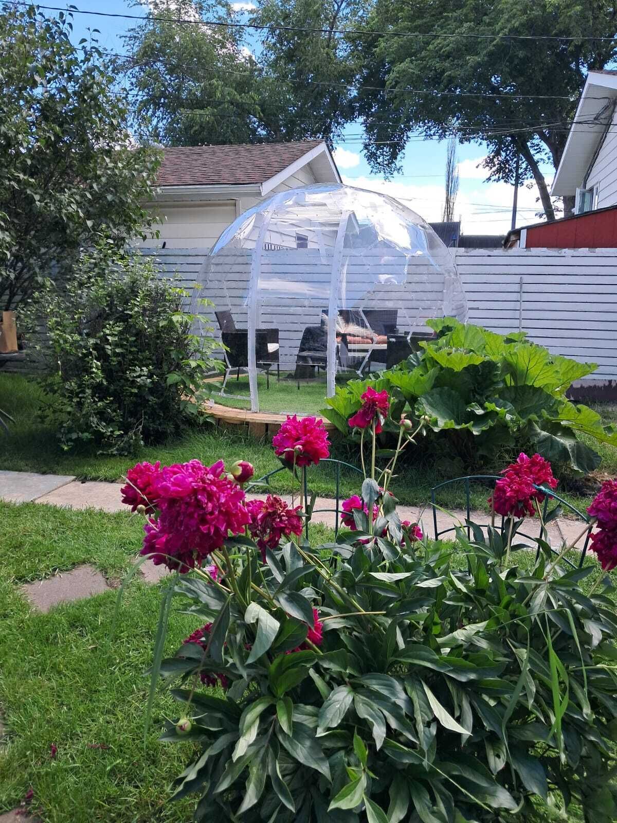 Een kas met een transparant dak, omgeven door een tuin met groene bladeren en roze bloemen.