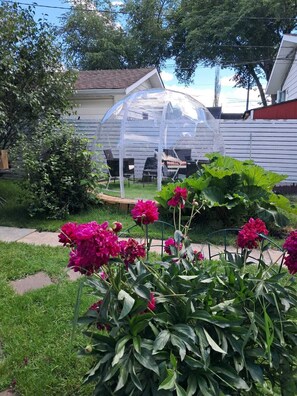 A greenhouse structure with a transparent roof, surrounded by a garden with green foliage and pink flowers. - A Bungalow with Sauna and Dome (Edmonton)