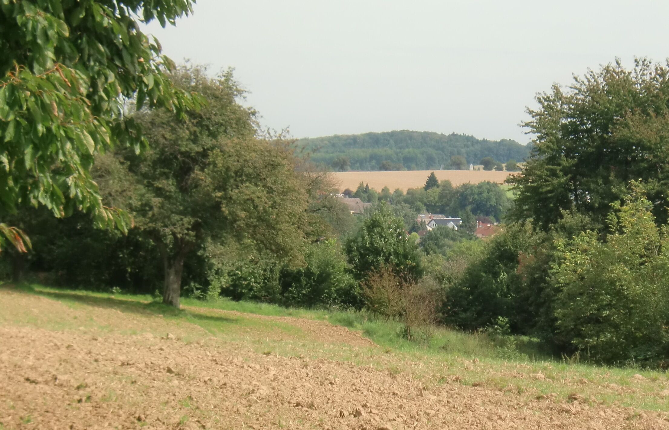 Ländliche Landschaft mit einem Feld, Bäumen und einem Dorf in der Ferne.
