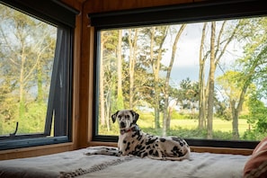A dog lying on a bed by a window with a view of trees.