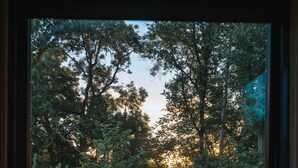A window with a view of a forest and a bed with a green blanket. - Eco Off-Grid Hideaway with Scenic Walks (Tarporley)