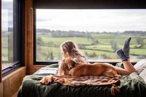 A person lying on a bed with a dog, looking out of a window with a view of fields. - Family Friendly Off-Grid Cabin In North Wales (Holywell)