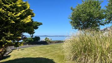 A grassy area with trees and a view of the water.