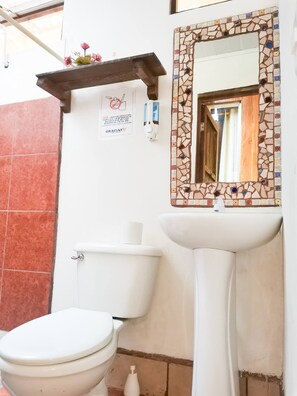 A bathroom with a toilet, sink, and a decorative mirror. - Casita y Tours Happy Feet Drake Bay - Room #1 (Puntarenas Province)