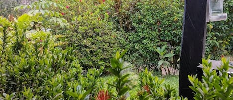 Àrea exterior de l'allotjament