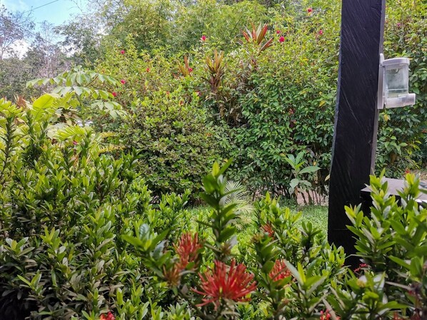 Jardines del alojamiento