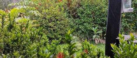 Àrea exterior de l'allotjament