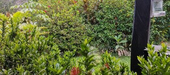 Casita y Tours Happy Feet Drake Bay - Room #3