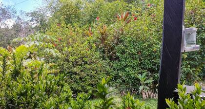 Casita y Tours Happy Feet Drake Bay - Room #3