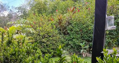 Casita y Tours Happy Feet Drake Bay - Room #5