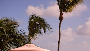 A poolside area with lounge chairs and a palm tree, overlooking a clear blue ocean. - Private Pool Villa at Coral Sands Steps to Pink Sand Beach & Resort Amenities (Dunmore Town)