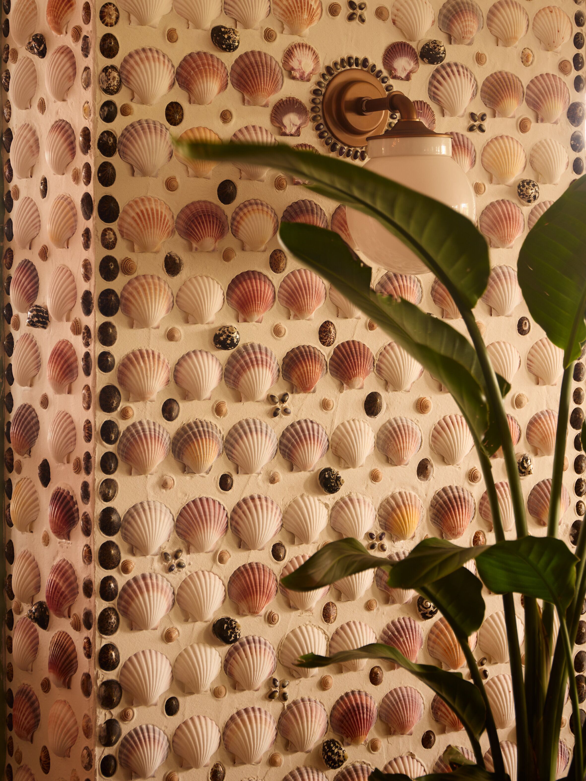 Un mur décoré de coquillages et une plante en pot.