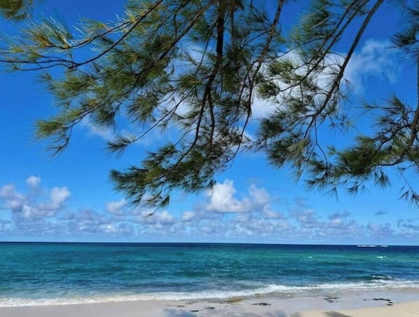 Chaises longues, serviettes de plage