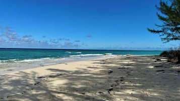 Sun loungers, beach towels
