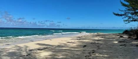 Chaises longues, serviettes de plage