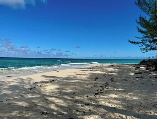 New luxury 1bd - Gated - Pool,  Beach and Gym access - Quiet and Relaxing