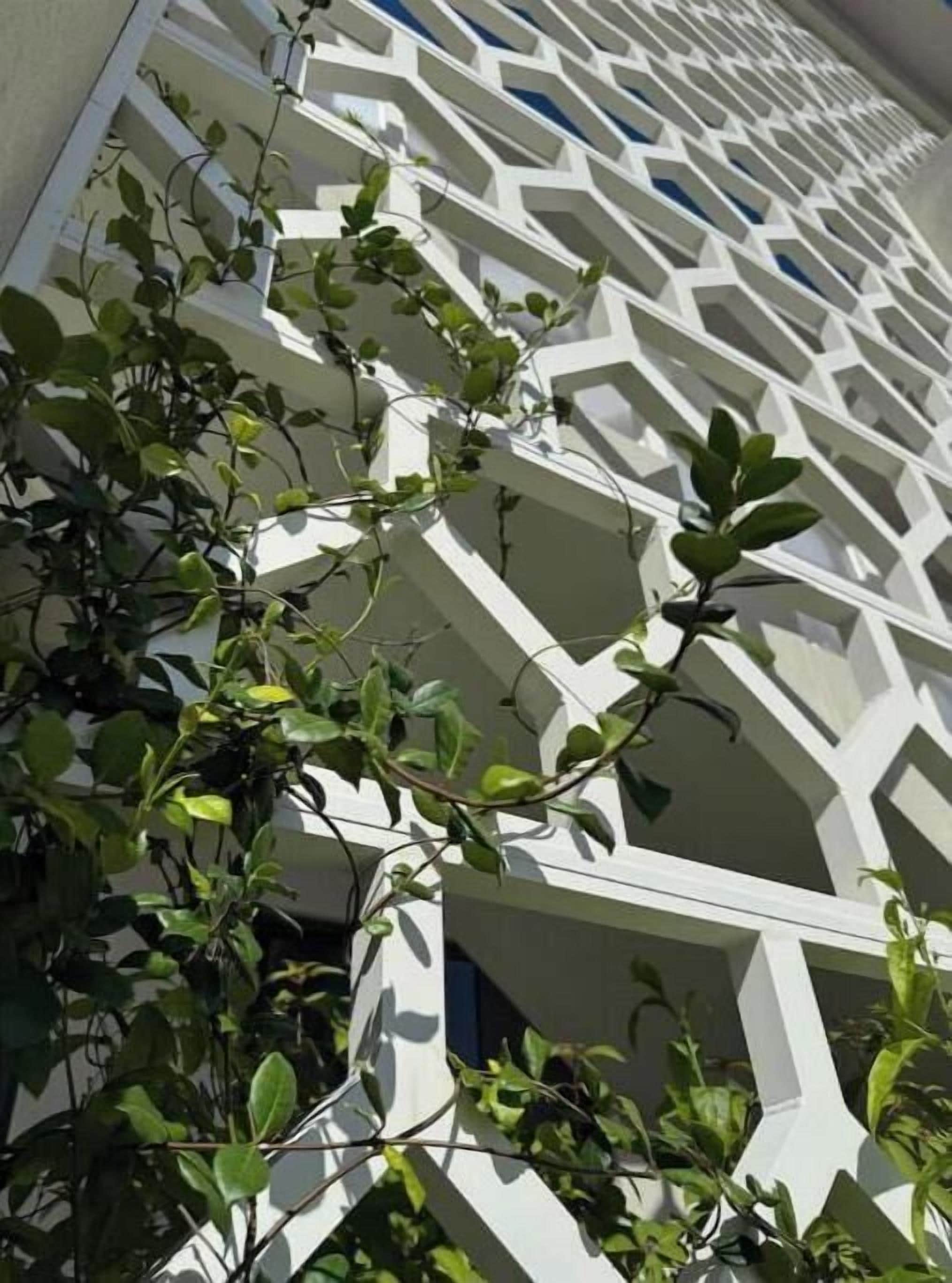 A building facade with a geometric pattern and climbing plants.
