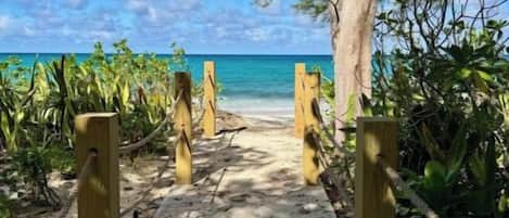 Un sentier sablonneux qui mène à une plage d’où l’on a une vue dégagée sur l’océan.