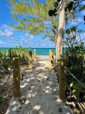 Un sentier menant à une plage, bordée d’une clôture en bois et d’une végétation tropicale.