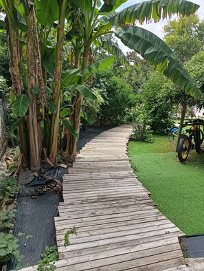 Un sendero de madera atraviesa un jardín con palmeras de plátano y una bicicleta estacionada al costado.