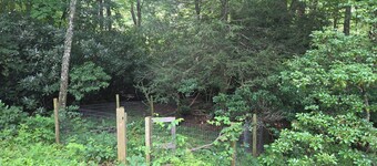 Secluded cabin on 2 wooded acres in charming Clyde