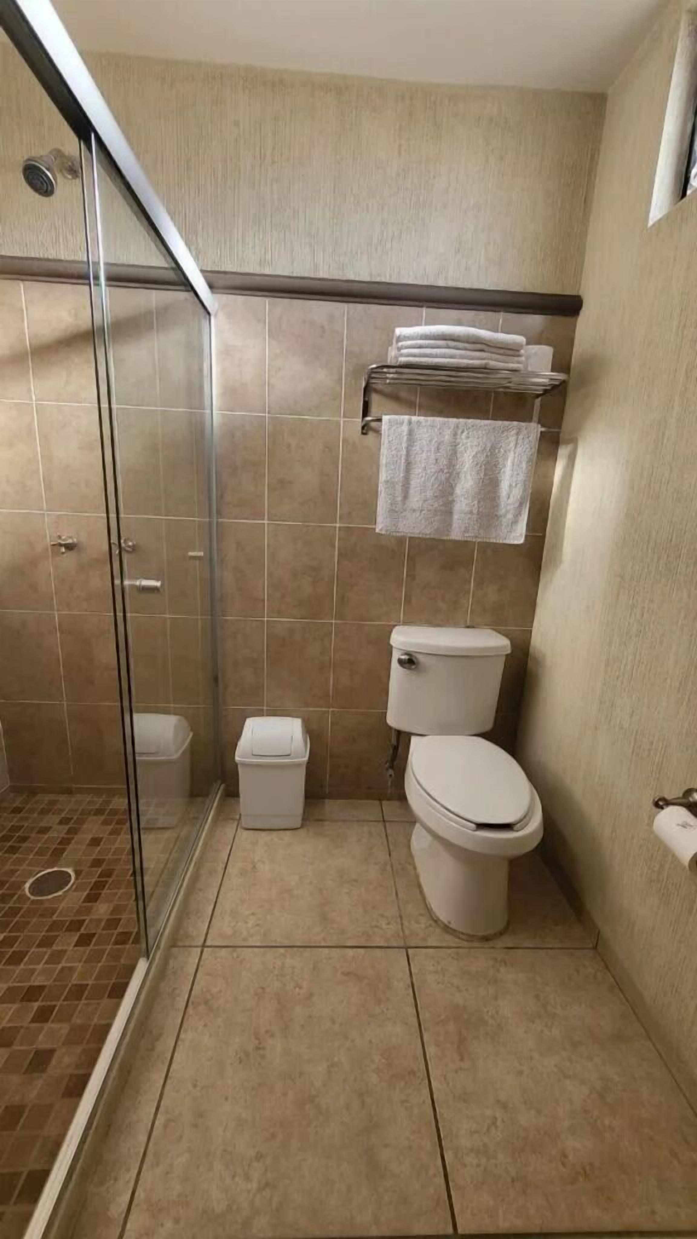 Ein Badezimmer mit Duschkabine aus Glas, Toilette und kleinem Mülleimer.