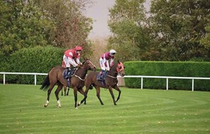 Two horses and jockeys in a race.