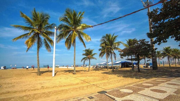 Una playa con palmeras, un camino empedrado y sombrillas de playa.