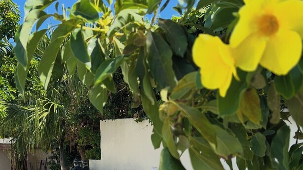 Un área de estar al aire libre con mobiliario de mimbre, cojines, suelo de hormigón y una pared blanca al fondo.