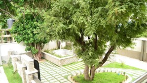 Un cortile con un grande albero, edifici in pietra e un percorso piastrellato.