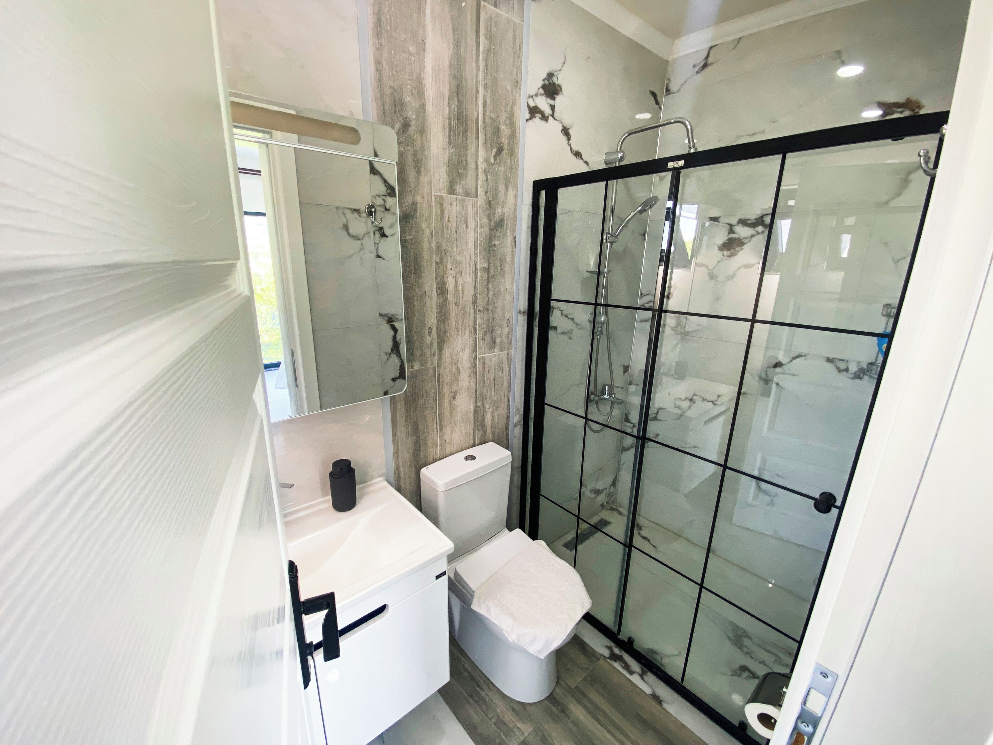 A modern bathroom with a glass-enclosed shower, a white toilet, and a vanity with a mirror.