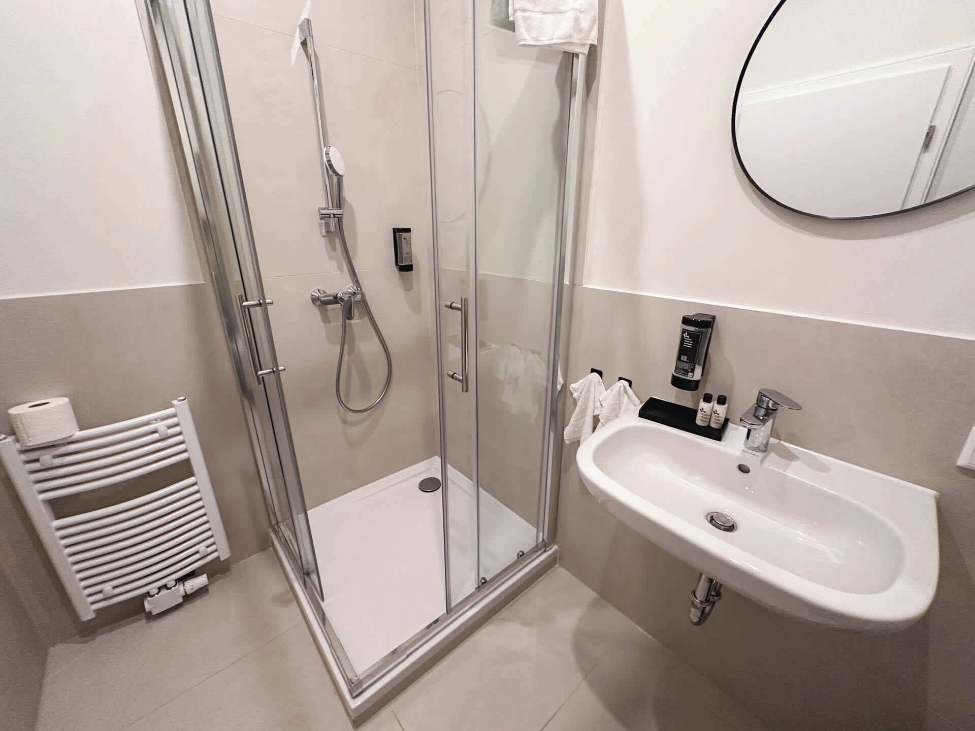 Shower, hair dryer, towels