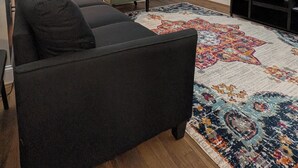 A living room with a black sofa, a green armchair, a patterned rug, a TV stand, and a door with a window above it.