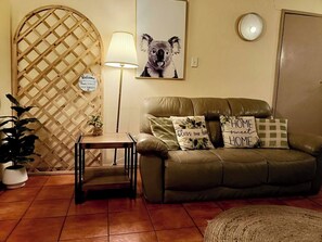 TV, fireplace, DVD player