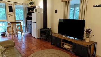 Televisión, chimenea, reproductor de DVD