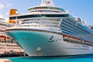 Point of interest - Daisy Haven in Southampton (Southampton)