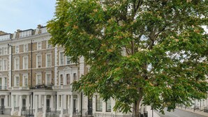 A row of white terraced houses with a tree in the foreground. - Collingham Road - 1 Bedroom Apartment III (London)
