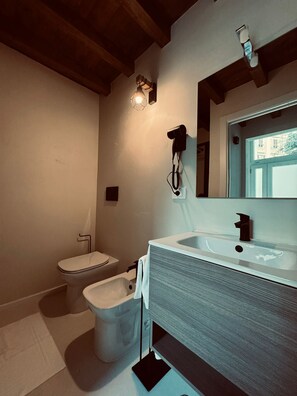Shower, hair dryer, bidet, towels