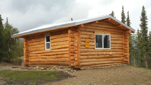 Una cabaña de madera con techo metálico, dos ventanas y un pequeño porche.