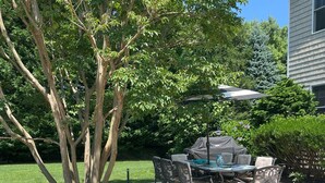 Un patio con una mesa y sillas, rodeado de césped y un árbol.