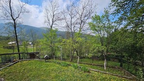 Un jardín con diversos árboles, una zona cercada y un campo cubierto de césped con flores amarillas.