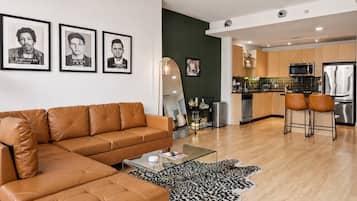 Smart TV, fireplace, books