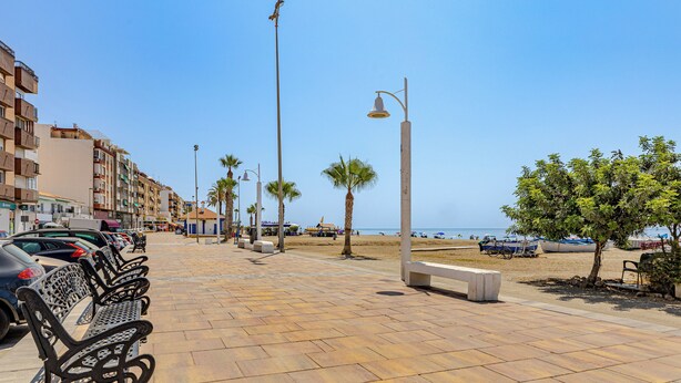 Une promenade dallée agrémentée de bancs, de palmiers et offrant une vue dégagée sur la plage et l’océan.