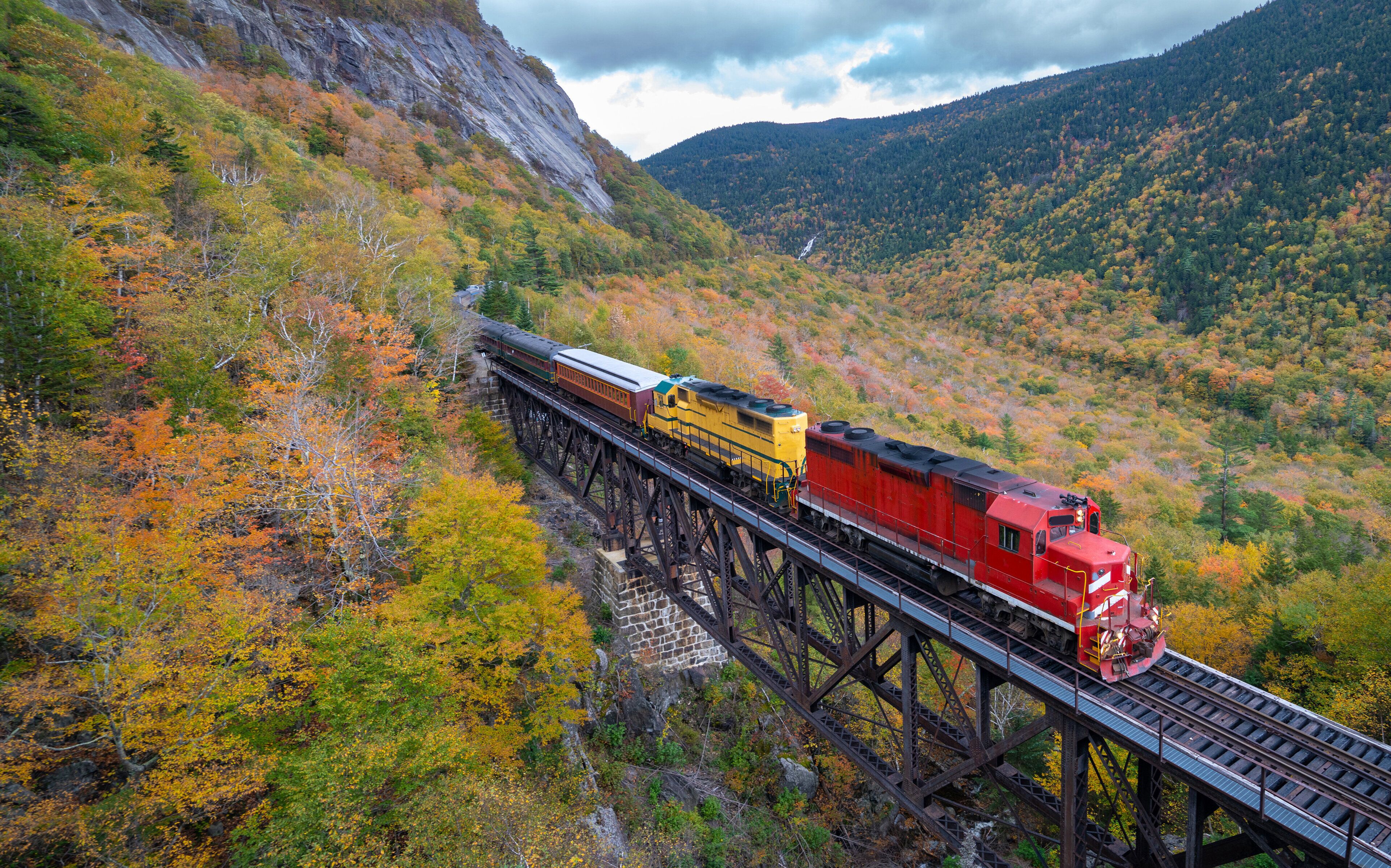 A train on a bridge through a forested valley.